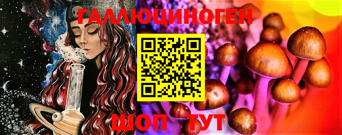 Архангельск  Псилоцибиновые грибы Cubensis  Вход с VPN  Галлюциногенные грибы мухоморы 